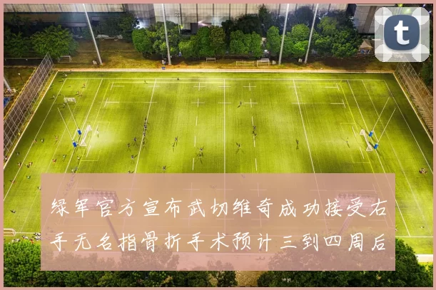 绿军官方宣布武切维奇成功接受右手无名指骨折手术预计三到四周后复查